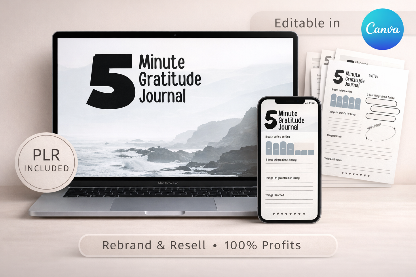 5 Minute Gratitude Journal PLR